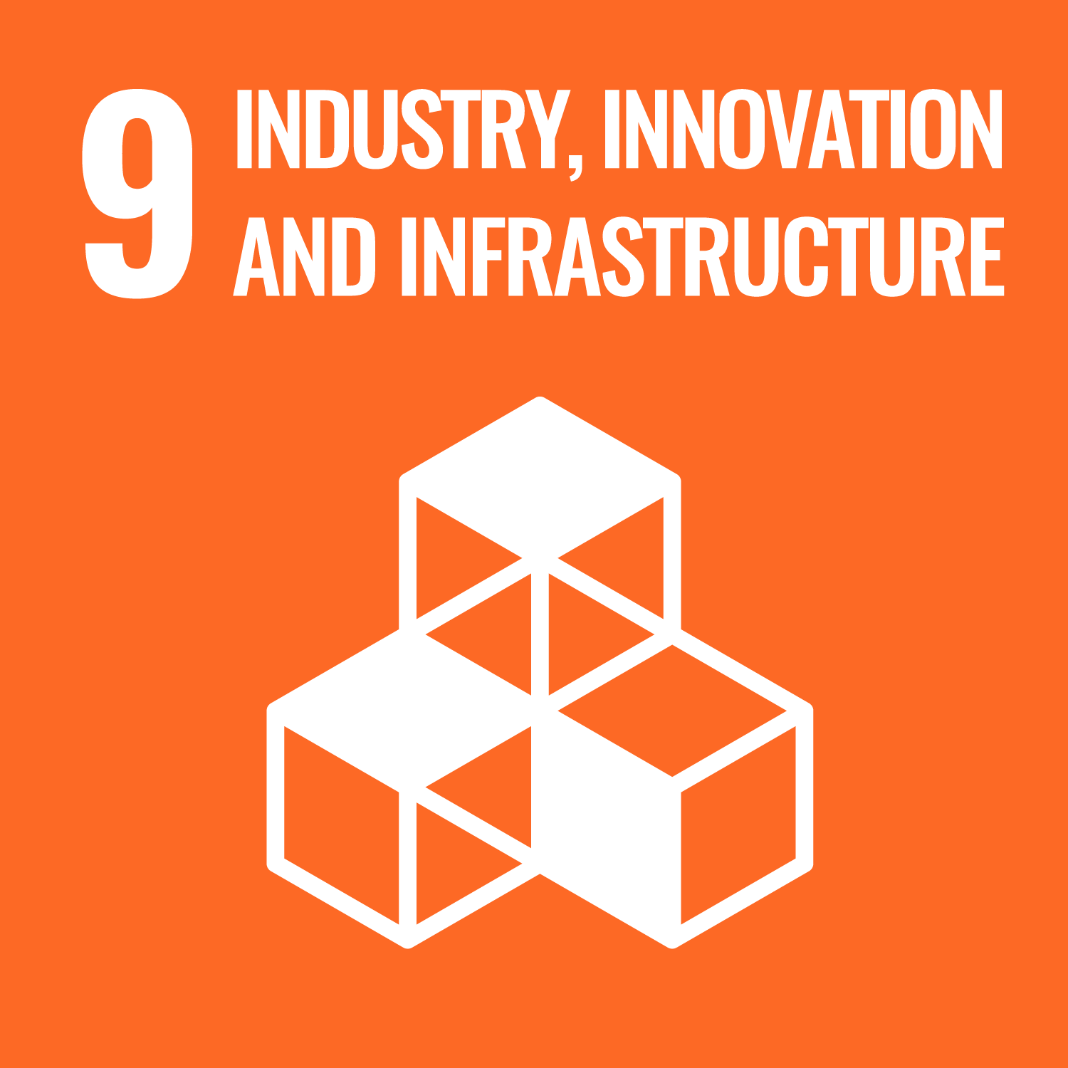 SDG 12